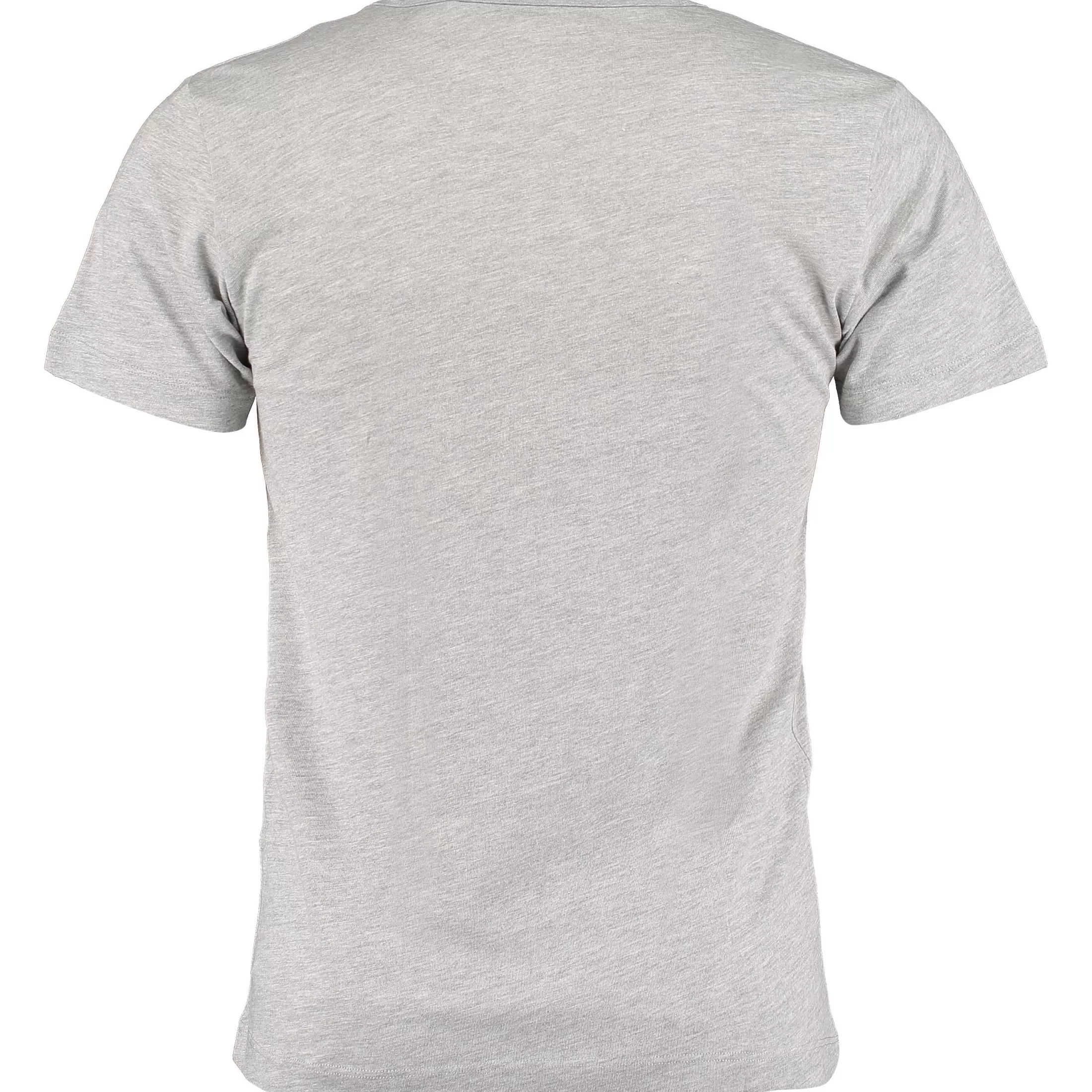 Hot NZA New Zealand Auckland Basic-T-Shirt Mit V-Ausschnitt 2 Pack In Grau